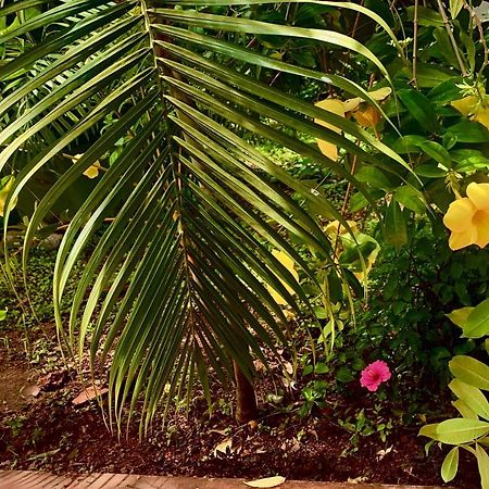 Stan-Inn, North Goa, Vagator, With Strong Wifi,Free Private Parking & Kitchen, Can Cook Where You Stay Eksteriør bilde