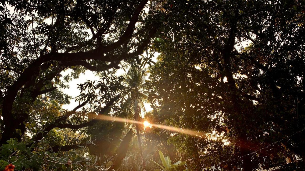 Stan-Inn, North Goa, Vagator, With Strong Wifi,Free Private Parking & Kitchen, Can Cook Where You Stay Eksteriør bilde